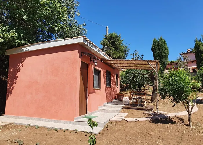 Azienda Agricola Sinisi