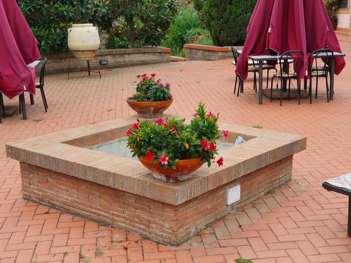 Azienda Agricola Sinisi * Cerveteri