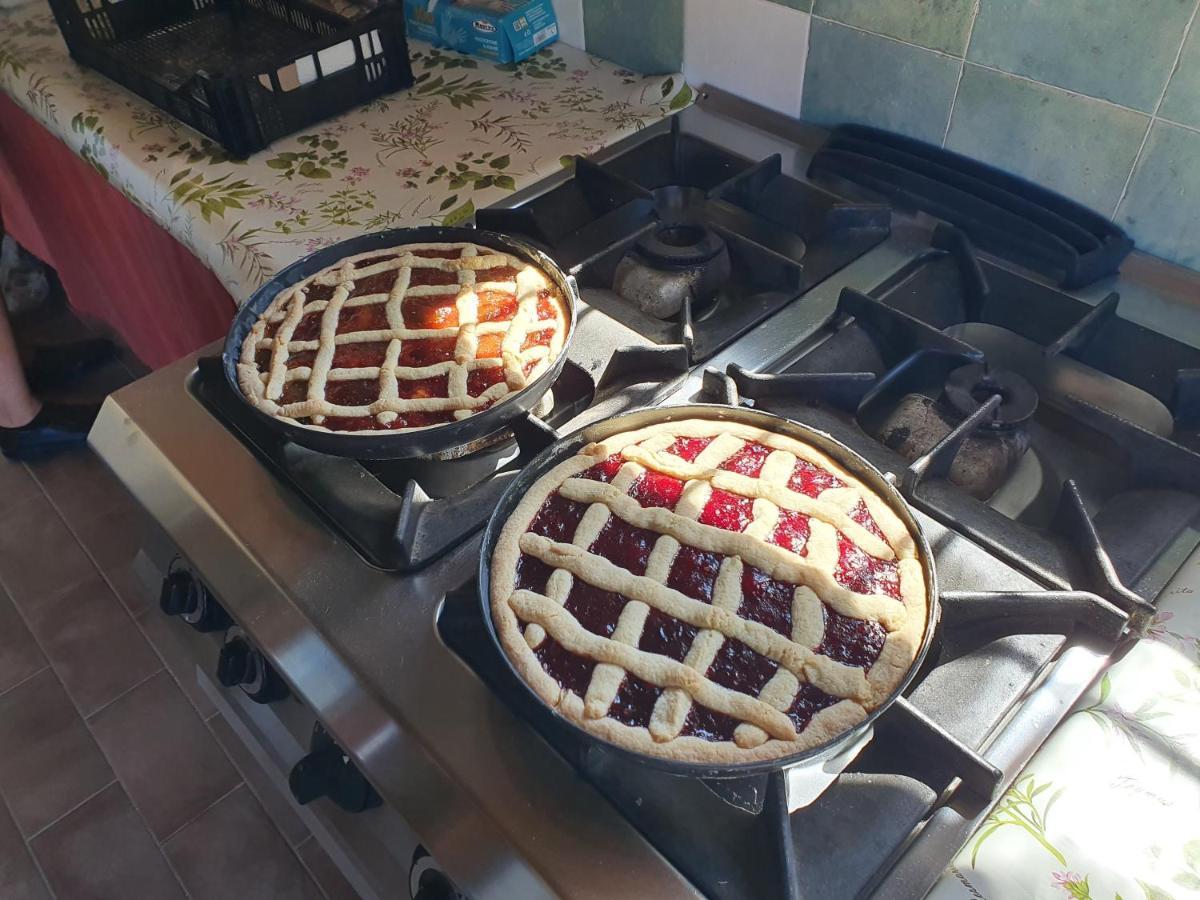 Farm stay Azienda Agricola Sinisi Cerveteri