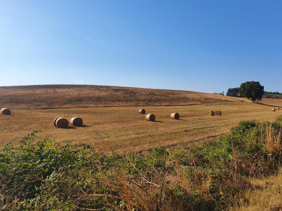 Azienda Agricola Sinisi Cerveteri