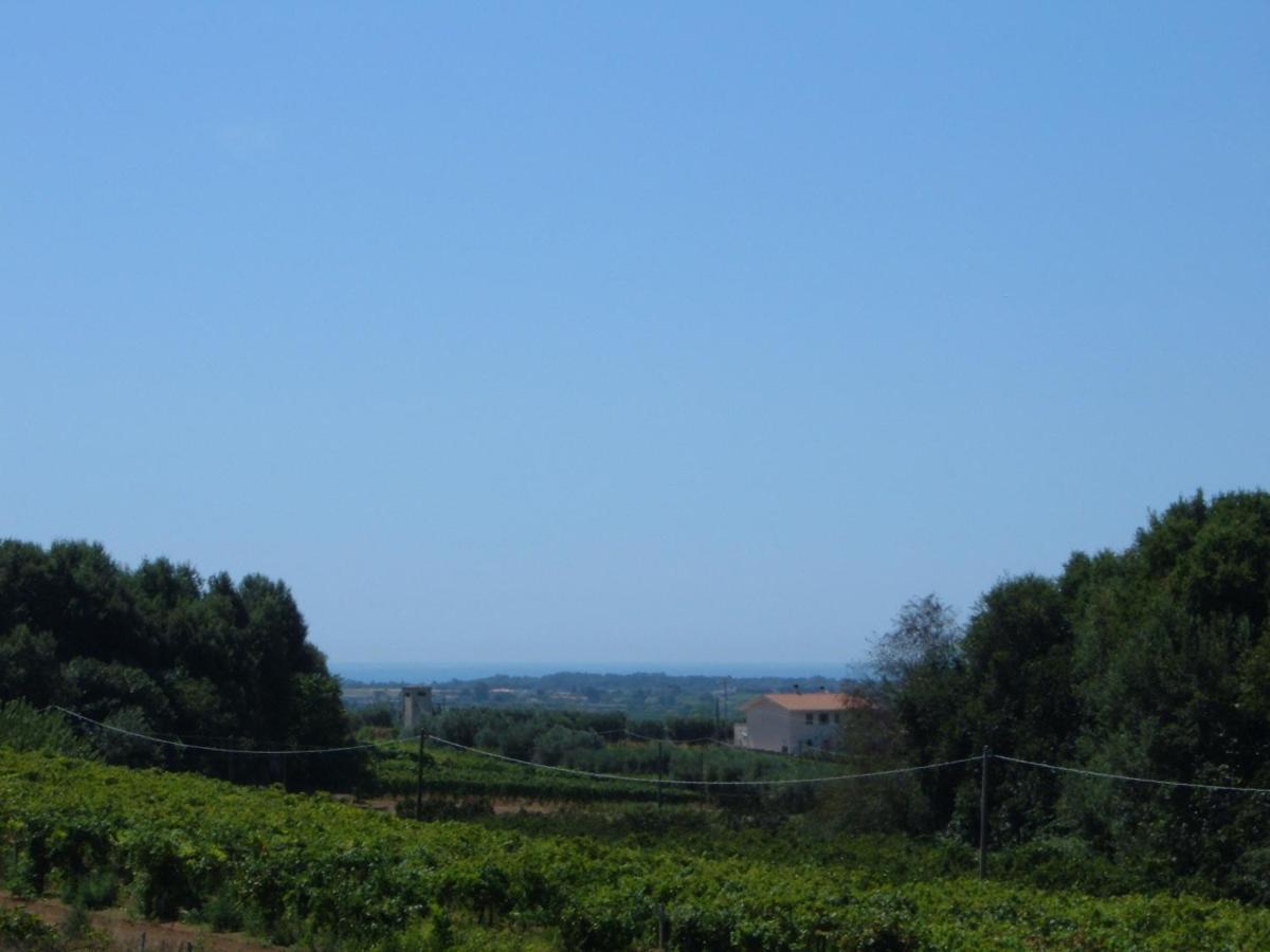 Azienda Agricola Sinisi Farm stay