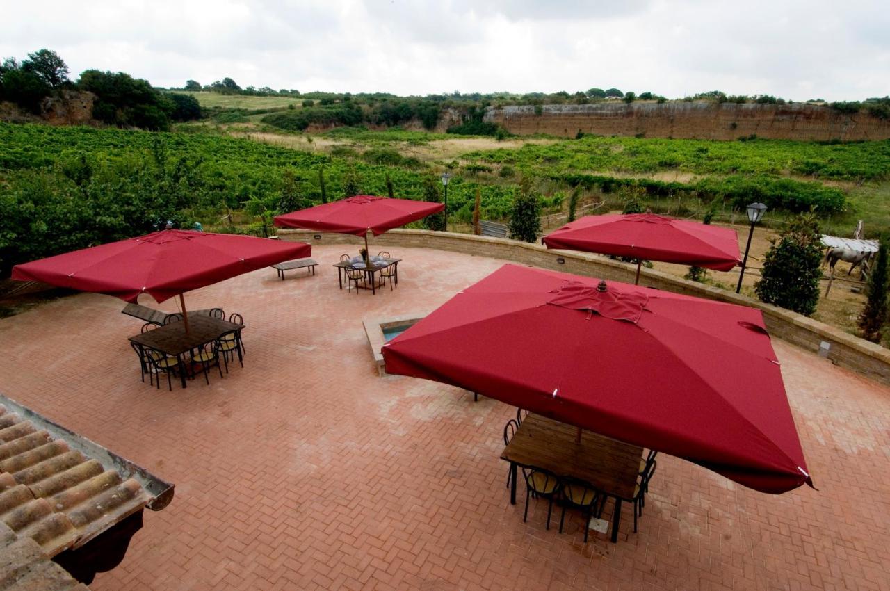 Azienda Agricola Sinisi