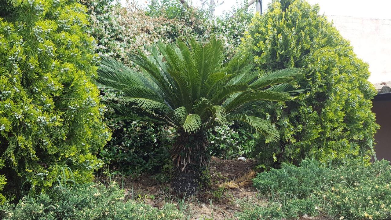 Azienda Agricola Sinisi Farm stay *