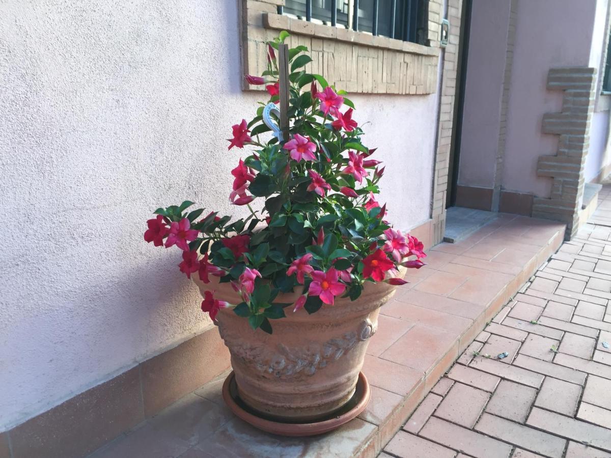 Farm stay Azienda Agricola Sinisi Cerveteri
