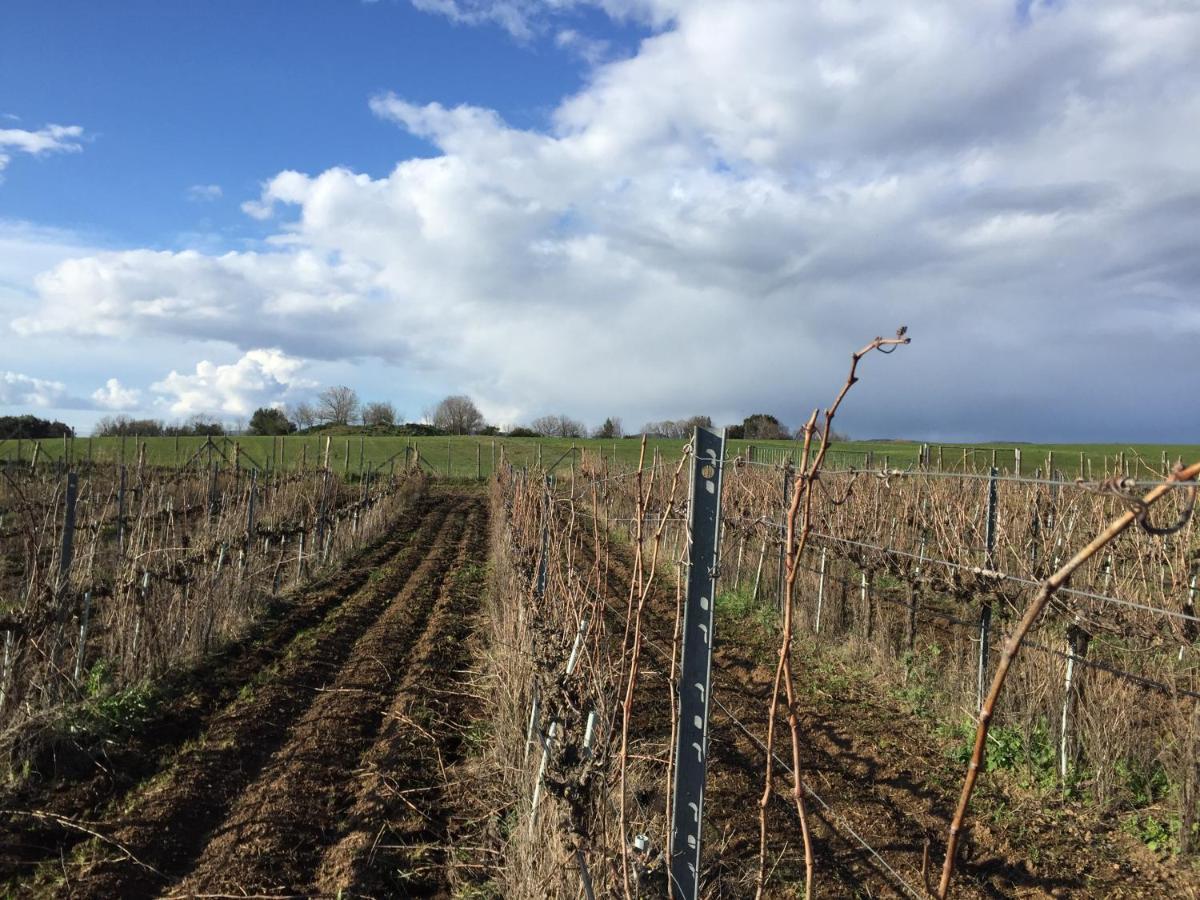Farm stay Azienda Agricola Sinisi