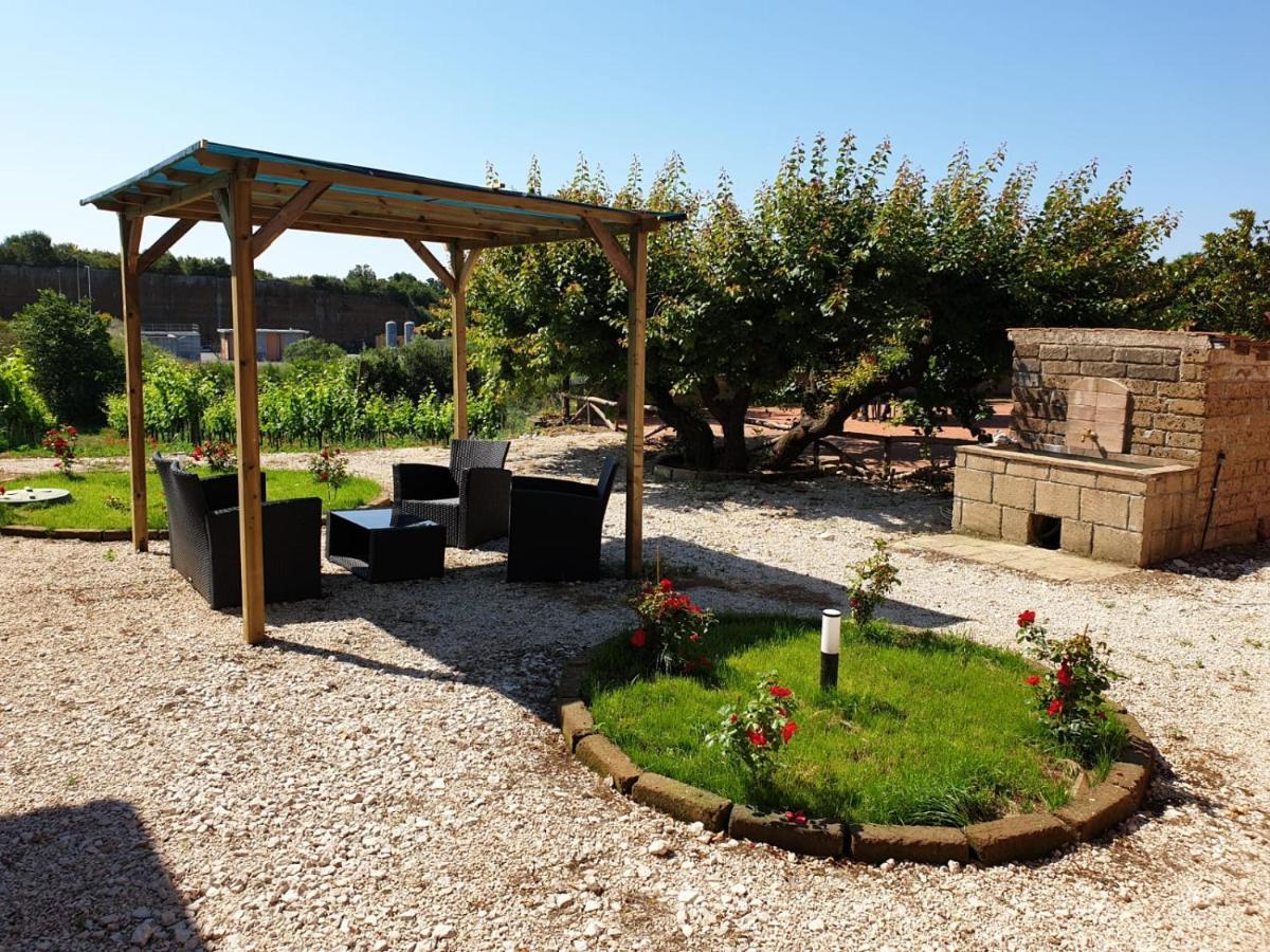 Azienda Agricola Sinisi Farm stay Cerveteri