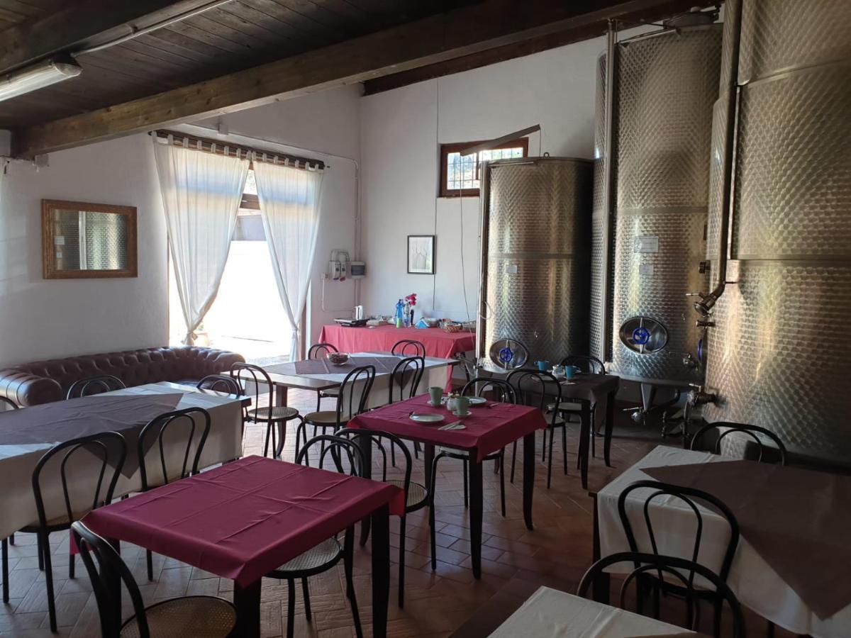 Azienda Agricola Sinisi