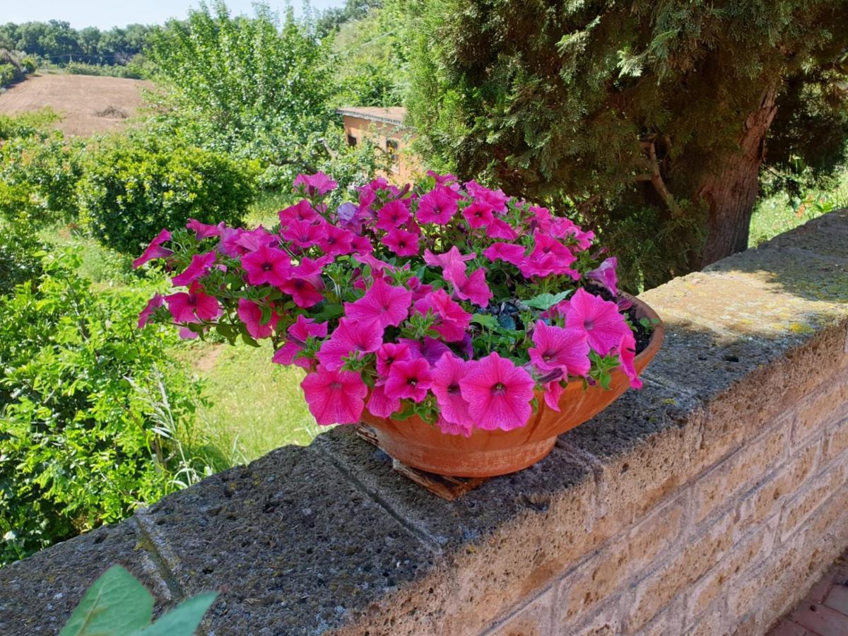 Azienda Agricola Sinisi Farm stay