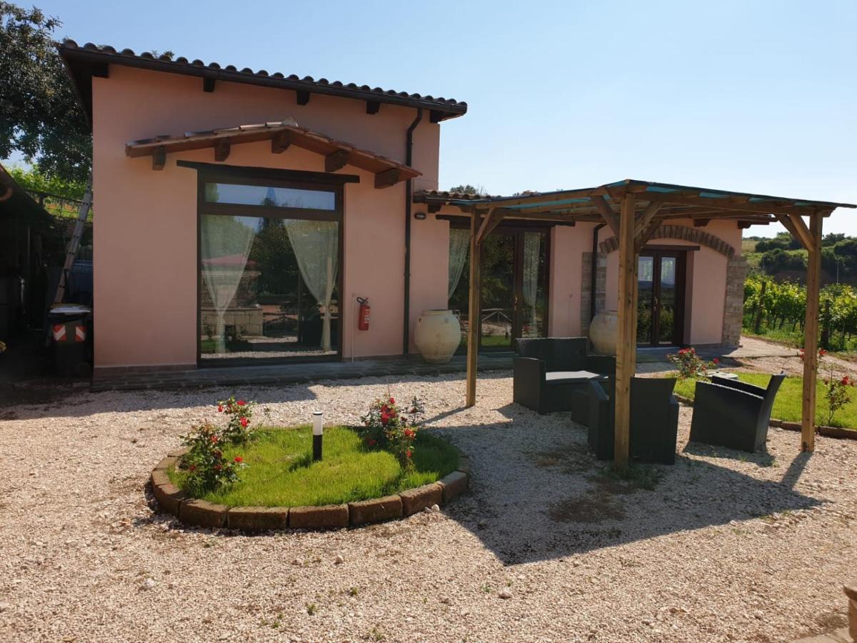 Farm stay Azienda Agricola Sinisi
