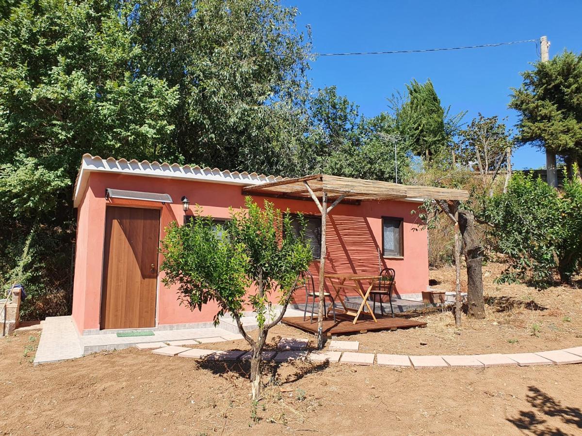 Azienda Agricola Sinisi Cerveteri