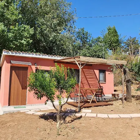 Azienda Agricola Sinisi Cerveteri Room photo