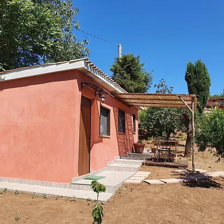 Azienda Agricola Sinisi Cerveteri Room photo