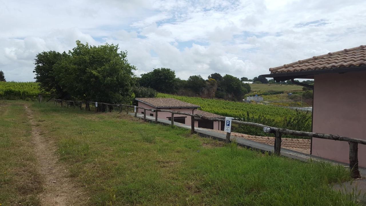 Azienda Agricola Sinisi Farm stay Cerveteri