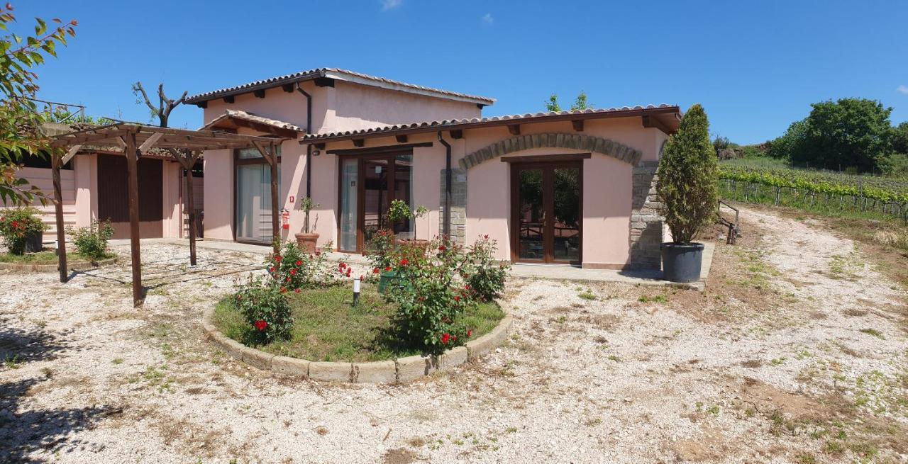 Azienda Agricola Sinisi * Cerveteri