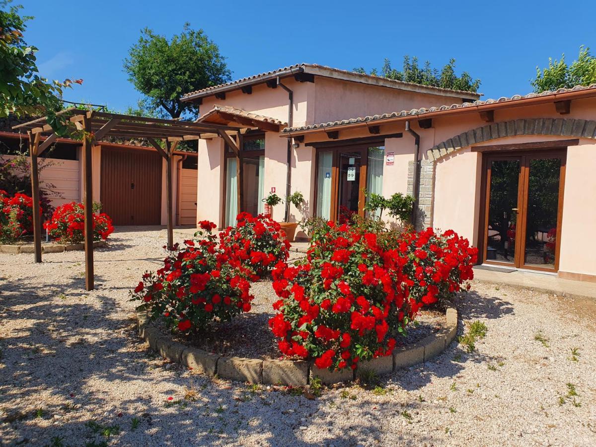 Farm stay Azienda Agricola Sinisi