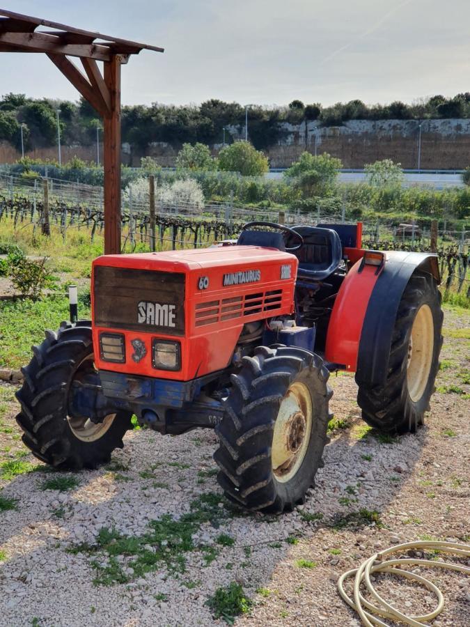 Azienda Agricola Sinisi