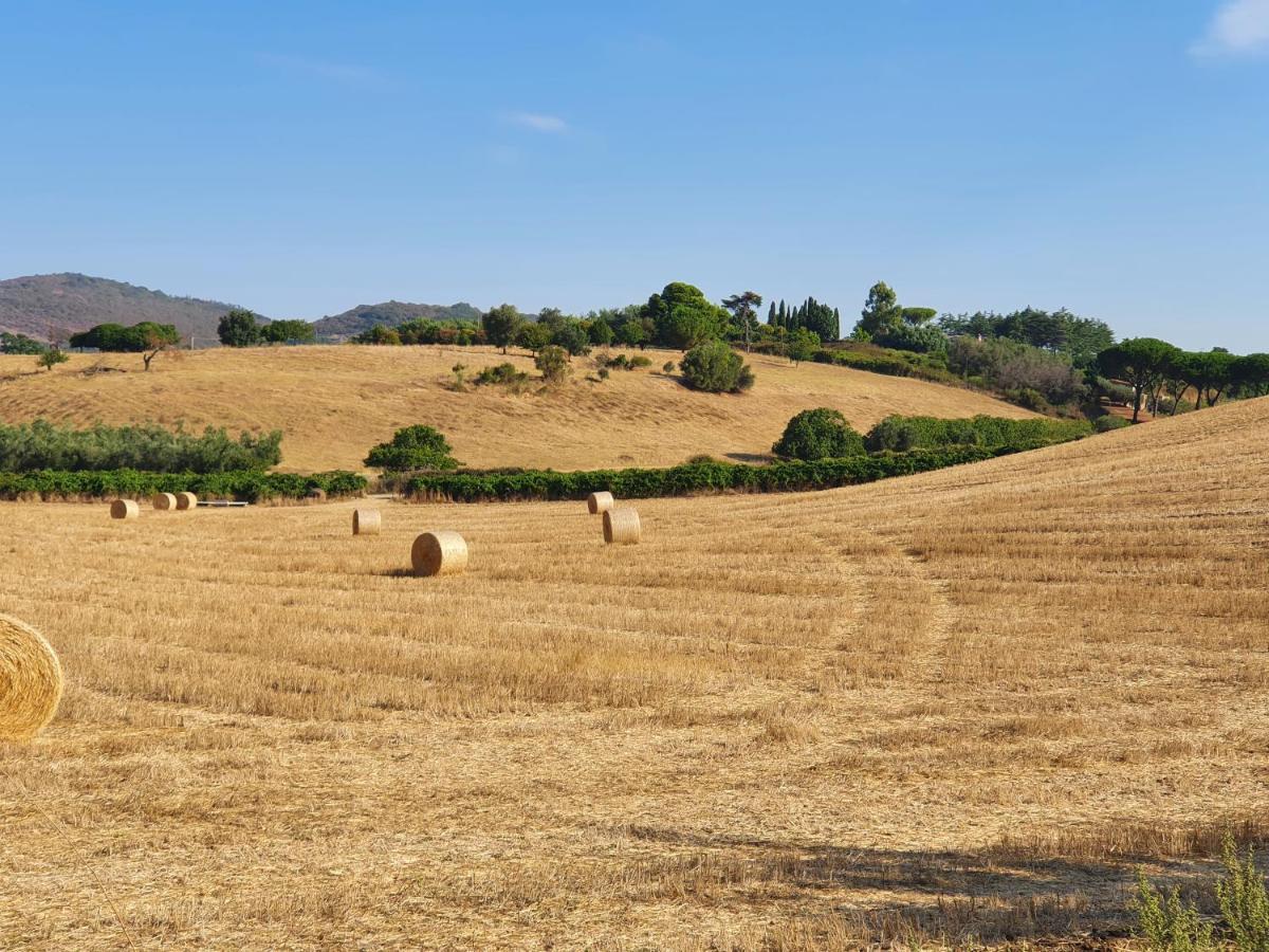 Azienda Agricola Sinisi * Cerveteri